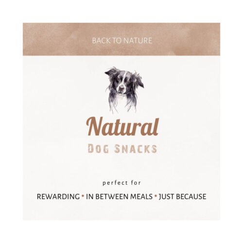 Perro disfrutando de snacks naturales Antos