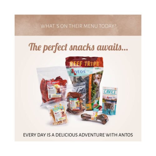Gama de snacks naturales Antos