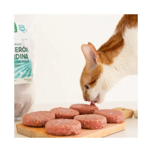 Gato frente a platos de hamburguesas BARF Wild Balance