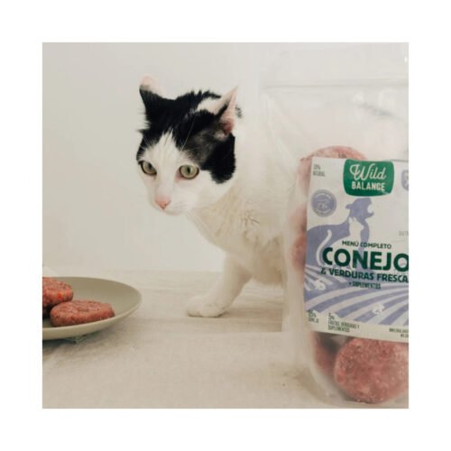 Gato blanco y negro oliendo hamburguesas BARF de conejo Wild Balance