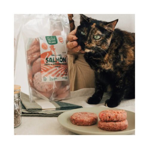 Gato carey oliendo hamburguesas BARF de salmón Wild Balance