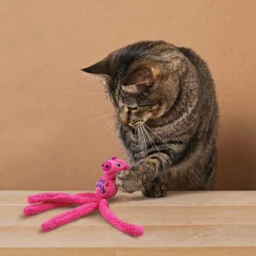 Gato atigrado interactuando con un juguete KONG Cat Wubba Bunny rosa