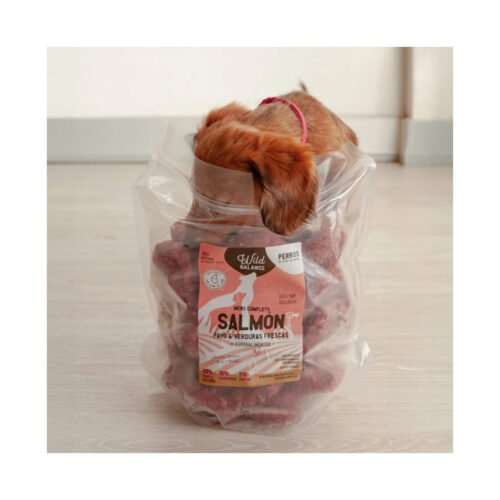 Perro disfrutando de su ración de salmón Wild Balance