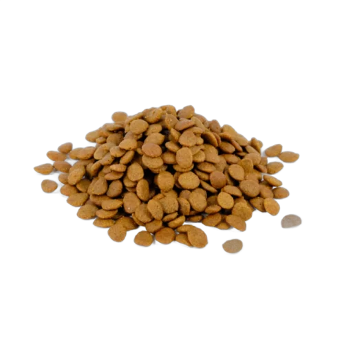 Natura Diet Adult Salmon & Vegs