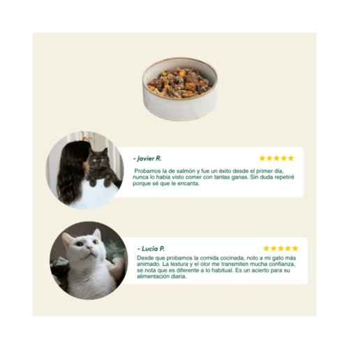Opiniones de clientes satisfechos con Wild Balance Gato