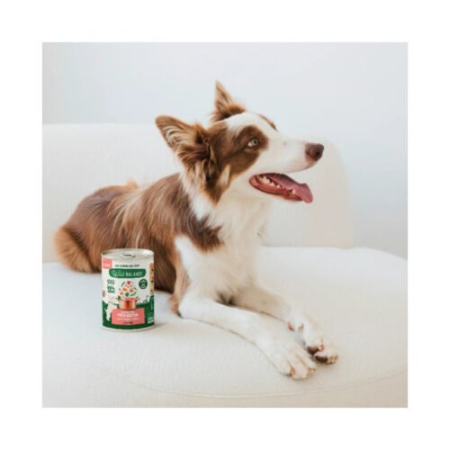 Felicidad y vitalidad con alimentación natural Perro disfrutando de su lata Wild Balance