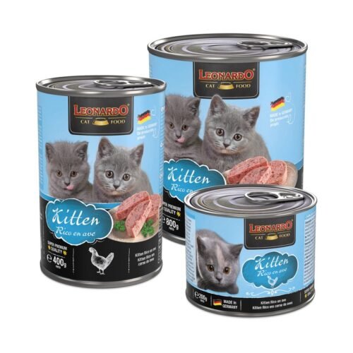 Leonardo Kitten Rico en Ave (Latas)