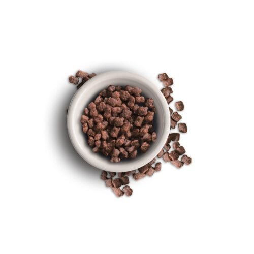 Leonardo Kitten detalle croqueta ingredientes