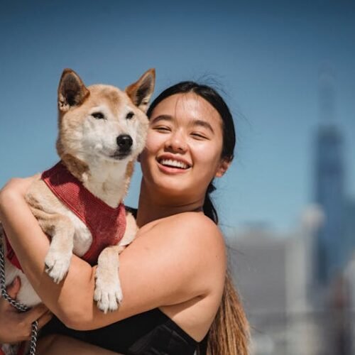 Comida Húmeda Premium Pollo y Verduras - Lata 400g