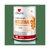 Disugual Intestinal Ternera