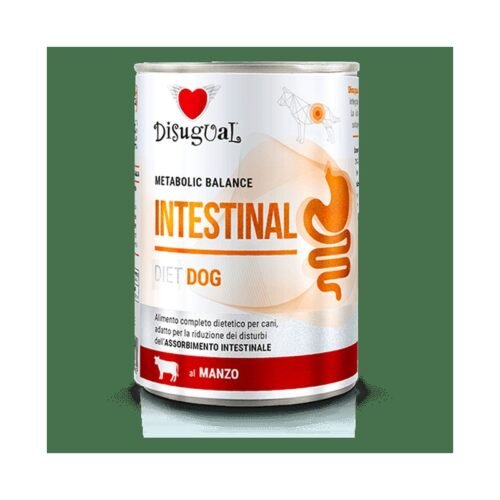 disugual-comida-perro-mediano-adulto-lata-intestinal-ternera10.17file.png c75uI8 Disugual Intestinal Ternera