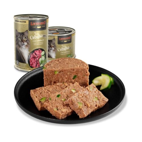 Leonardo Superior Selection Caballo con Calabacín