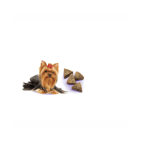 Brit Care Mini Liver Detox Treats detalle cardo mariano cúrcuma