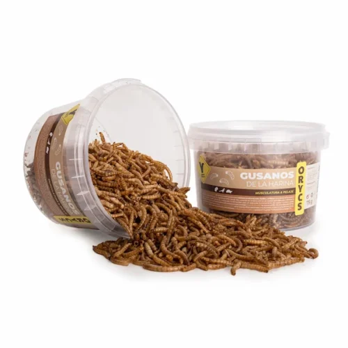 Orycs Snack Gusanos de la Harina snack proteico natural para hámsters y roedores