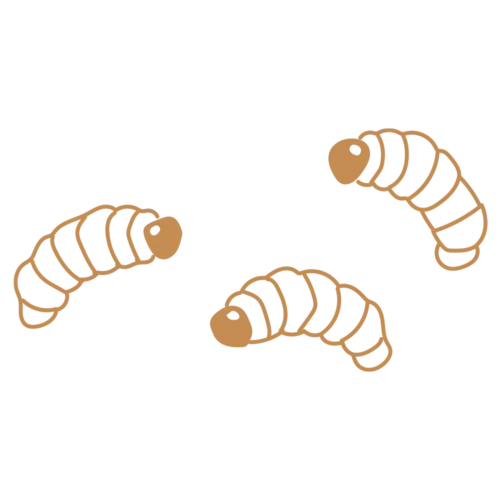 Orycs Gusanos de la Harina detalle gusanos deshidratados proteicos para roedores