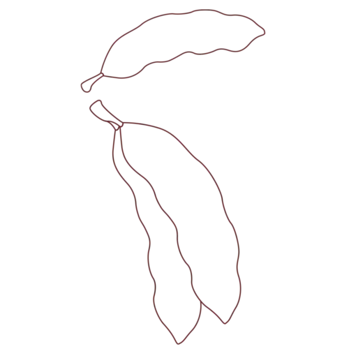 Orycs Snack Algarroba detalle trozos de algarroba deshidratada para roedores