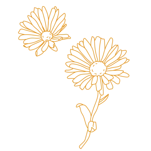 Orycs Snack Caléndula detalle flores de caléndula deshidratadas para roedores