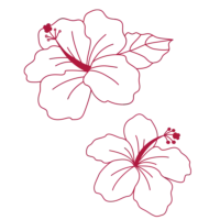 Orycs Snack Hibiscus detalle flores de hibisco deshidratadas para roedores