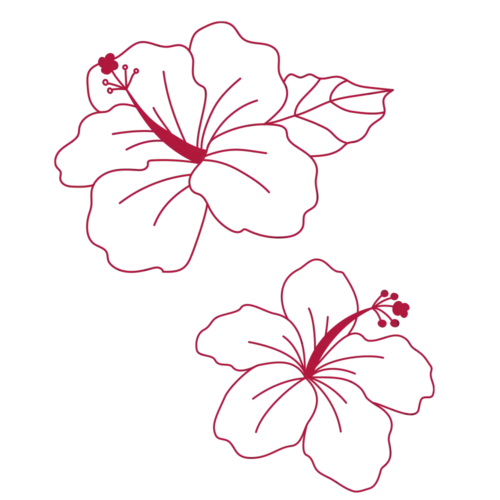 ORY-Snack-Hibiscus Orycs Snack Hibiscus detalle flores de hibisco deshidratadas para roedores