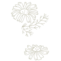 Orycs Snack Manzanilla detalle flores de manzanilla deshidratadas para roedores