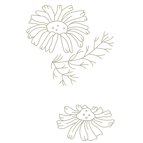 ORY-Snack-Manzanilla Orycs Snack Manzanilla detalle flores de manzanilla deshidratadas para roedores