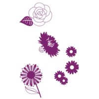 Orycs Snack Prado detalle del producto snack natural para roedores pelaje brillante