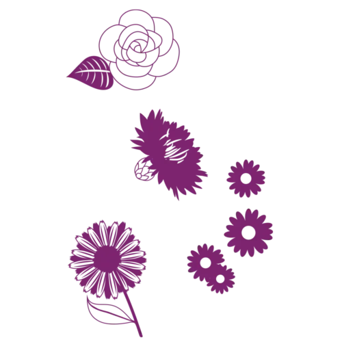 ORY-Snack-Prado Orycs Snack Prado detalle del producto snack natural para roedores pelaje brillante