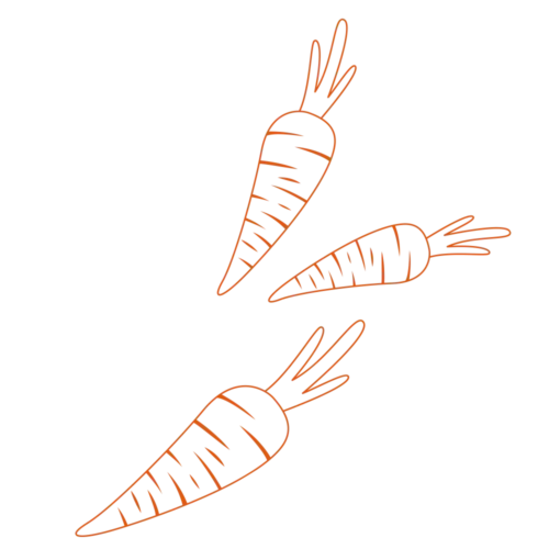 Orycs Snack Zanahoria detalle rodajas de zanahoria deshidratada para roedores