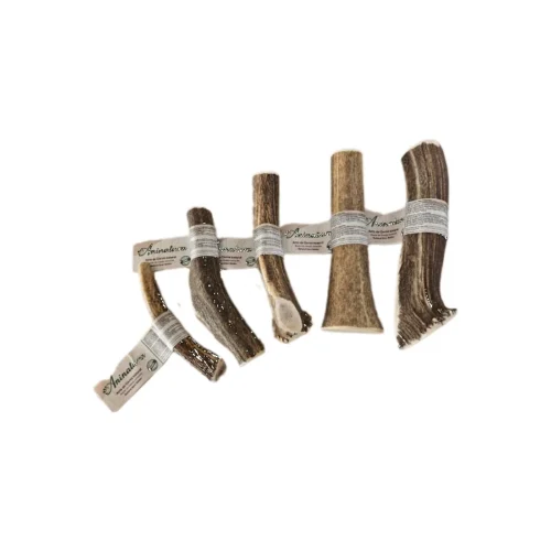 Astas Enteras Aninatura snack natural perro Barcelona