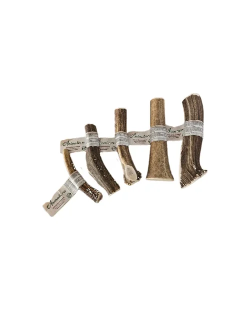 Astas Enteras Aninatura snack natural perro Barcelona