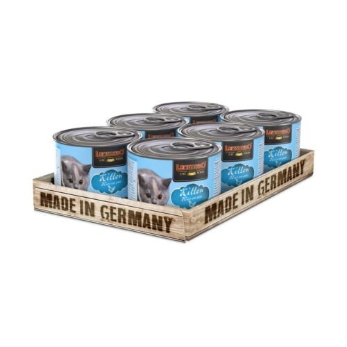 Leonardo Kitten Rico en Ave (Latas)