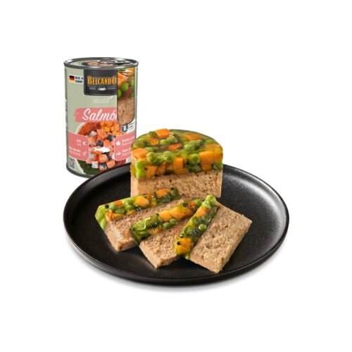 Belcando Holistic Salmón