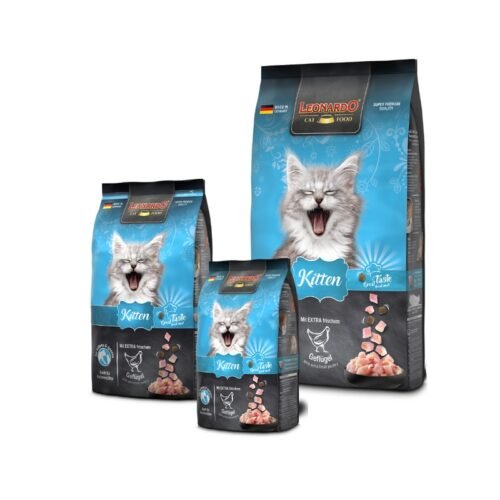 Leonardo Kitten gama tamaños disponibles