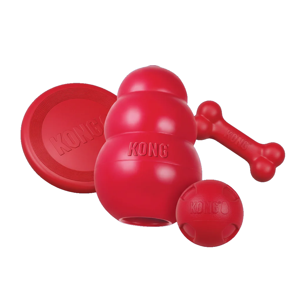 Juguetes KONG