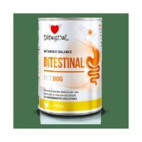 Disugual Intestinal Pollo