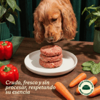 Wild Balance BARF Iniciación Pollo con Calabaza y Zanahoria para perros, claim del producto